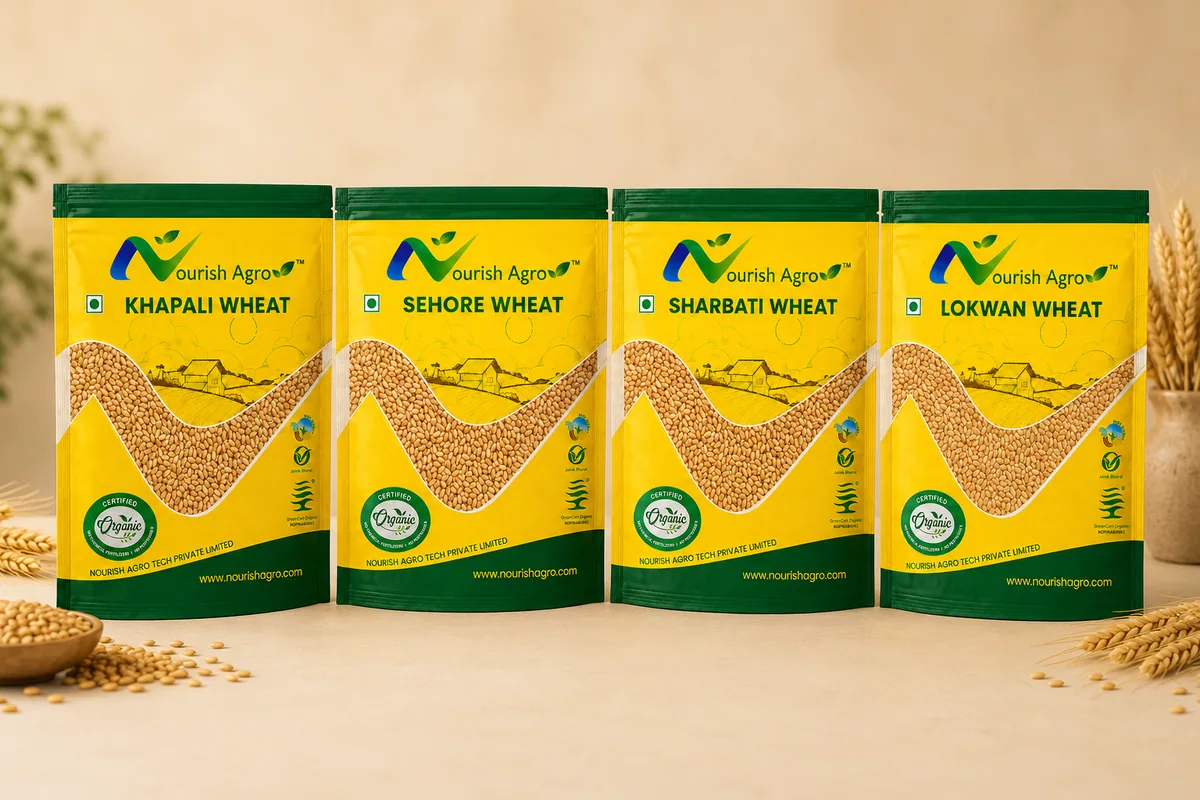 Lokwan Wheat - organic wheat from Nourish Agro